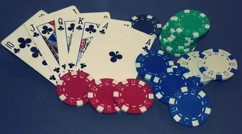 homobet88