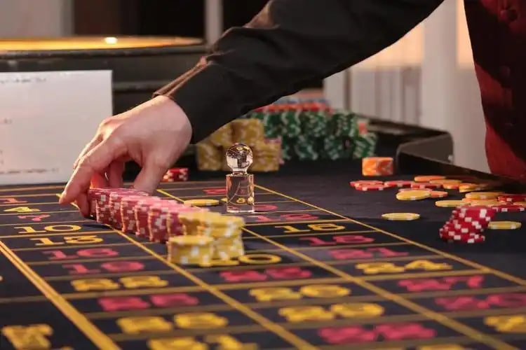 homobet88